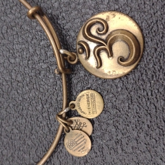 Alex and Ani Gold Charm Bracelet - Picture 2 of 3